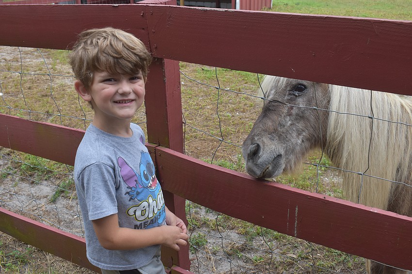 Palmetto's Malcolm Riti, 5, thanks the miniature horse for letting him pet him.