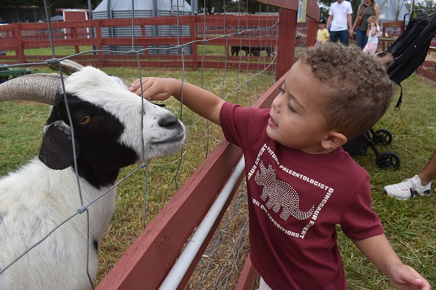 North Port's Alan Aguilar, 2, is a big time animal lover and couldn't resist petting a goat.