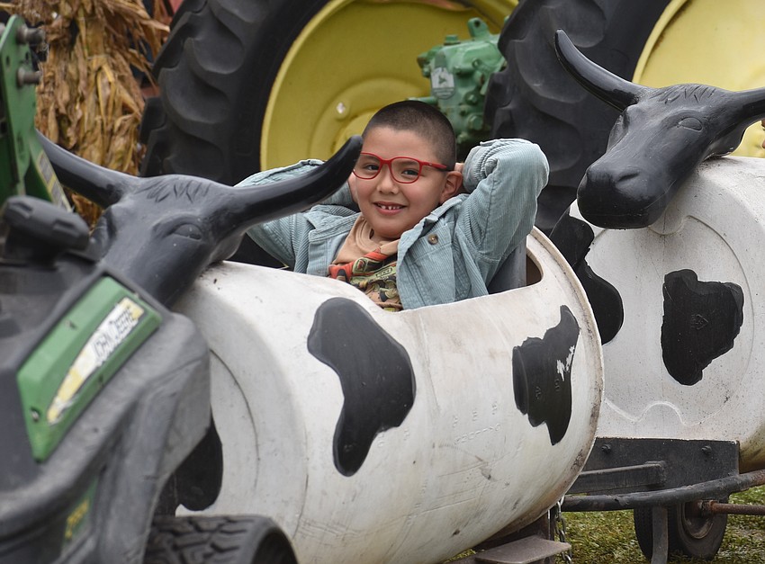 Bradenton's Ray Ramirez, 6, says being pulled by a tractor while sitting in a cow was both weird and fun.