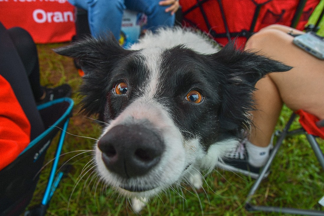 Willow loved being outdoors!