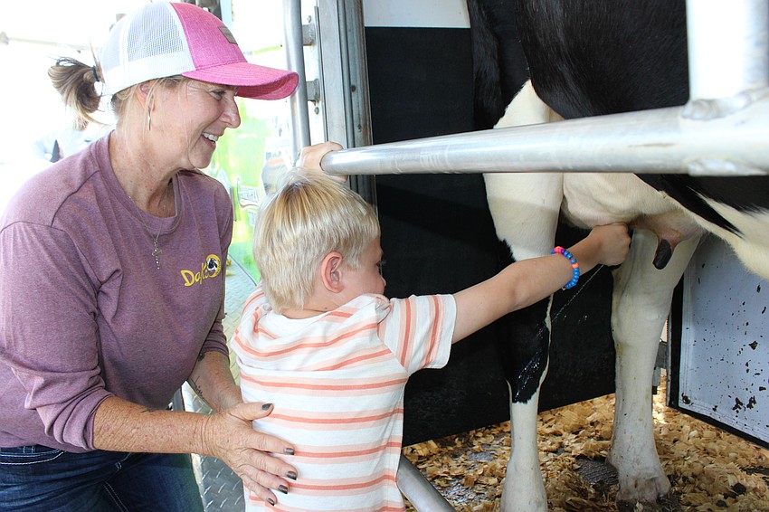 Dakin Dairy's Jennifer Griffith helps Englewood 5-year-old Benjamin Wojcik milk Faith the cow during the Harvest Festival Oct. 12.