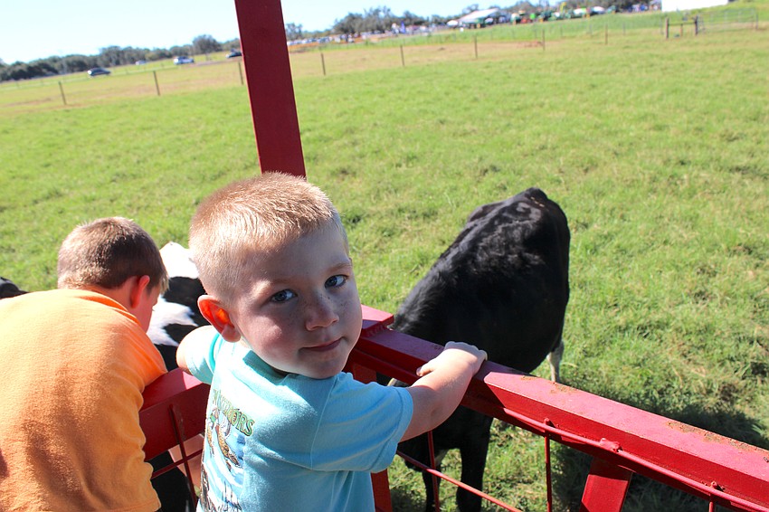 East County 3-year-old Cole Dobson is loving a hay ride into the fields to visit with the cows.