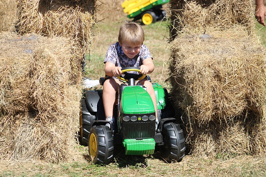 Meanwhile, down on the farm during the Harvest Festival, Myakka's Chase Lehmann, 3, drives his tractor through a wall of hay.