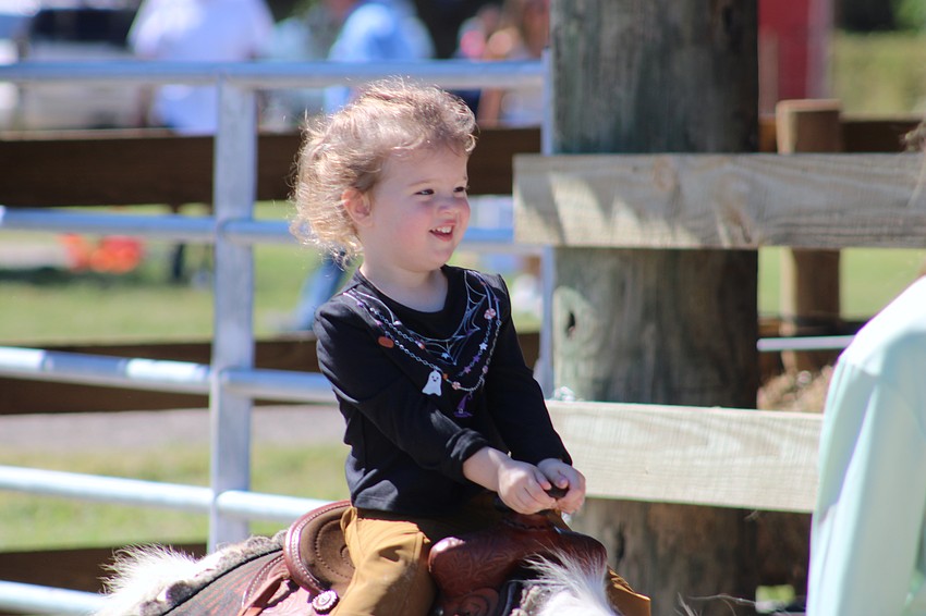 Sarasota's Maddie Silk, 2, is riding high at the Harvest Festival at Dakin Dairy in Myakka City Oct. 12.