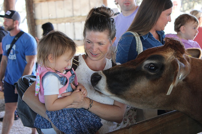 Sarasota 17-month-old Leah Theriault and her mom, Courtney Theriault, are having a ball at the Dakin Harvest Festival Oct. 12 in Myakka.