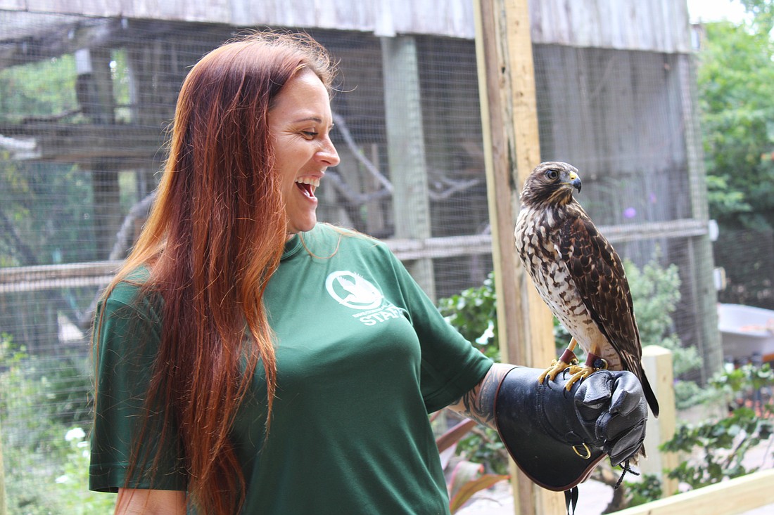 Save Our Seabirds Director of Outreach and Education Lisa Wood and the facility's new red-shouldered hawk get to know one another on move-in day.