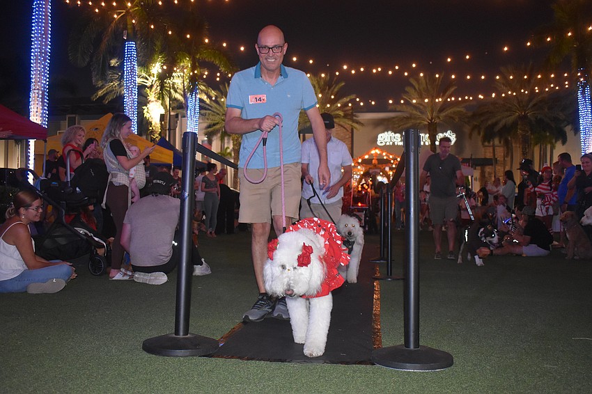 Lulu, a 4-year-old golden doodle, walks the runway with Sarasota's Danilo Zuniga.