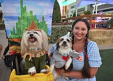 Shih tzu father and son Mushu and Emmett dressed as the scarecrow and tin man from the "Wizard of Oz" with Sarasota's Teagan Nickols as Dorothy.