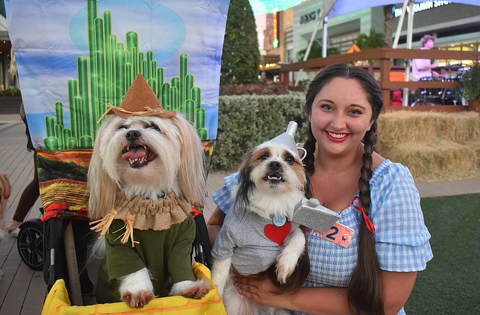 Shih tzu father and son Mushu and Emmett dressed as the scarecrow and tin man from the "Wizard of Oz" with Sarasota's Teagan Nickols as Dorothy.