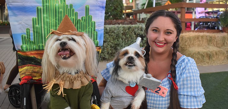 Shih tzu father and son Mushu and Emmett dressed as the scarecrow and tin man from the "Wizard of Oz" with Sarasota's Teagan Nickols as Dorothy.