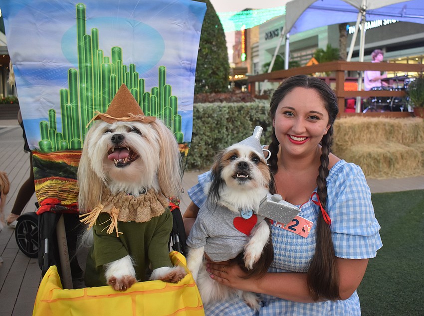Shih tzu father and son Mushu and Emmett dressed as the scarecrow and tin man from the 