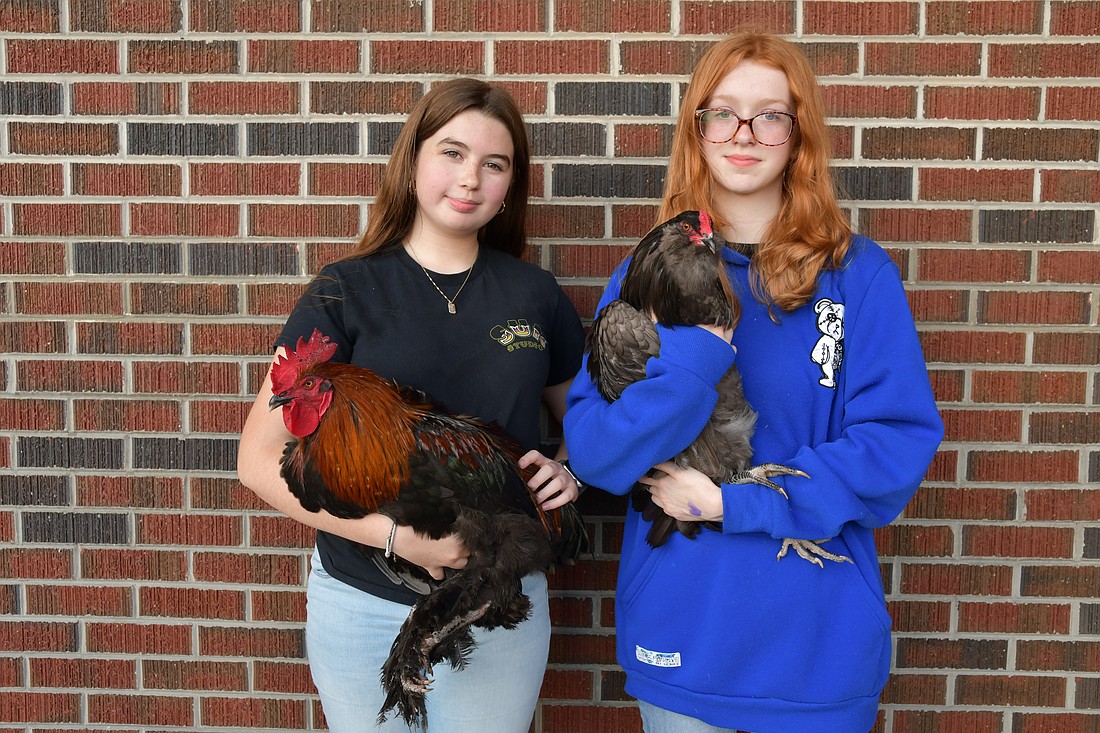 Skyla Price and Madeleine Draper look forward to welcoming people to Lakeview Middle School during the Fall Festival.
