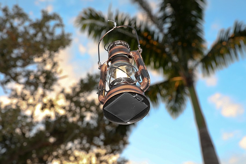 Marie Selby Botanical Gardens was turned into a South African safari on Oct. 17.