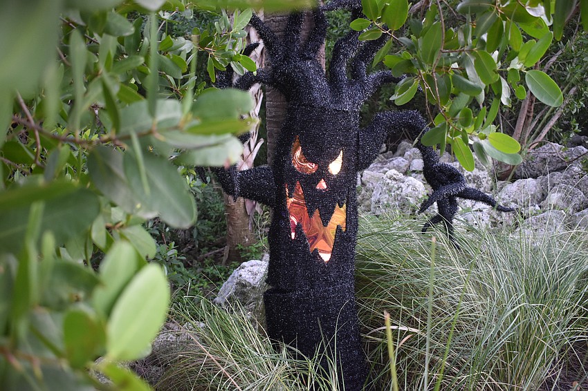 The event featured a not-so-haunted decorated trail.