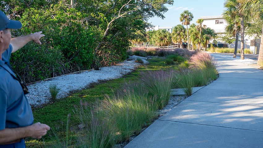 Sarasota Bay Estuary Program Science and Restoration Manager Ryan Gandy points to a bioswale at Bayfront Park as a good example of stormwater management Oct. 24.