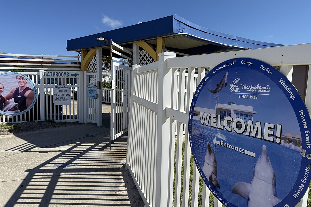 Dolphin expert in underdog bid on Marineland Dolphin Adventure wants to use attraction for animal-assisted therapy