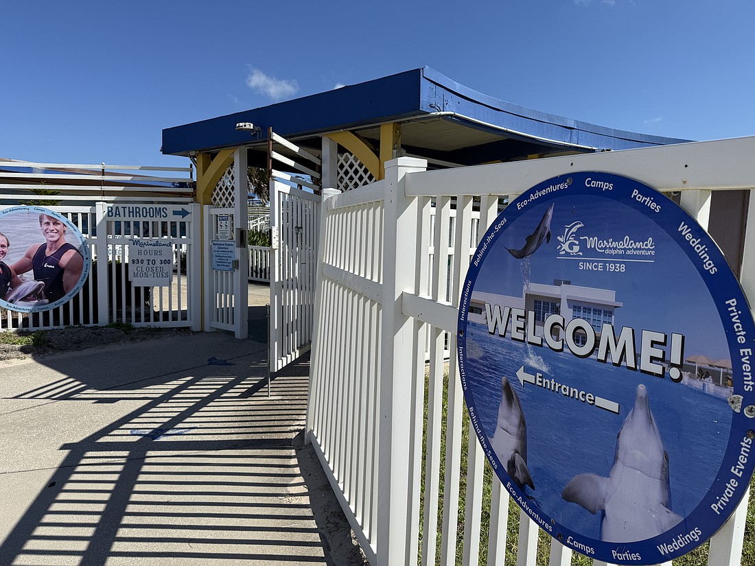 Marineland Dolphin Adventure. Photo by Brian McMillan