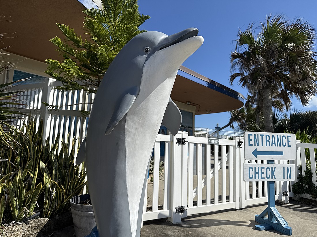 Marineland Dolphin Adventure is up for sale. Photo by Brian McMillan