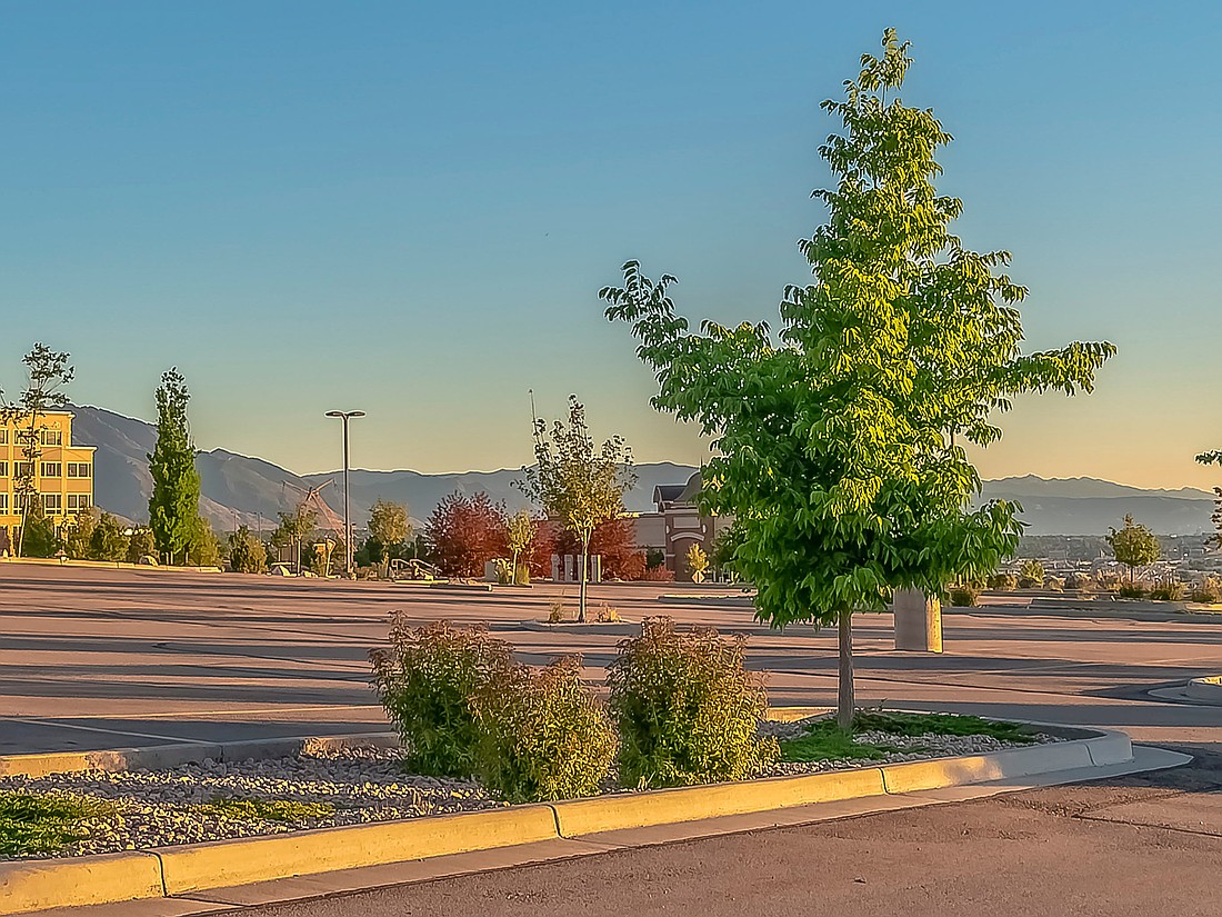 The Jacksonville City Council voted Oct. 28 to relax requirements for parking and landscaping on industrial and commercial properties.