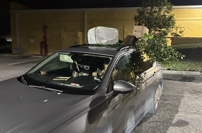 A silver Volkswagen SUV was reported leaving the Town Square University Parkway with several leafy plants strapped to a roof cargo rack.