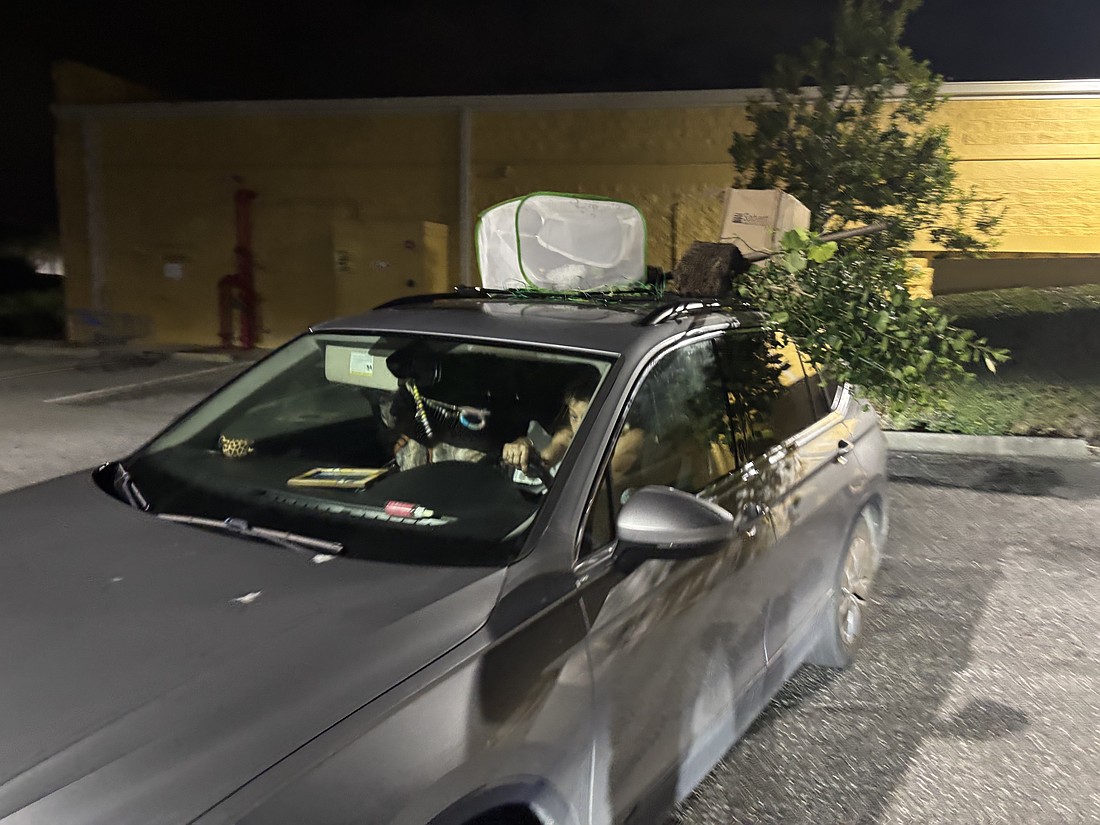 A silver Volkswagen SUV was reported leaving the Town Square University Parkway with several leafy plants strapped to a roof cargo rack.