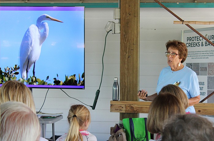 Mattie Watson gives an educational talk on Florida's wading birds at Save Our Seabirds. The longtime volunteer is up for a Haley Hall of Fame Award with Visit Sarasota County.