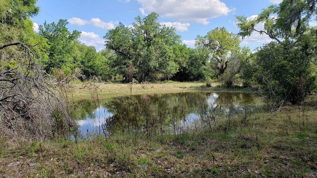 Manatee County recently acquired 13.4 acres adjacent to Crane Park along the Myakka River.