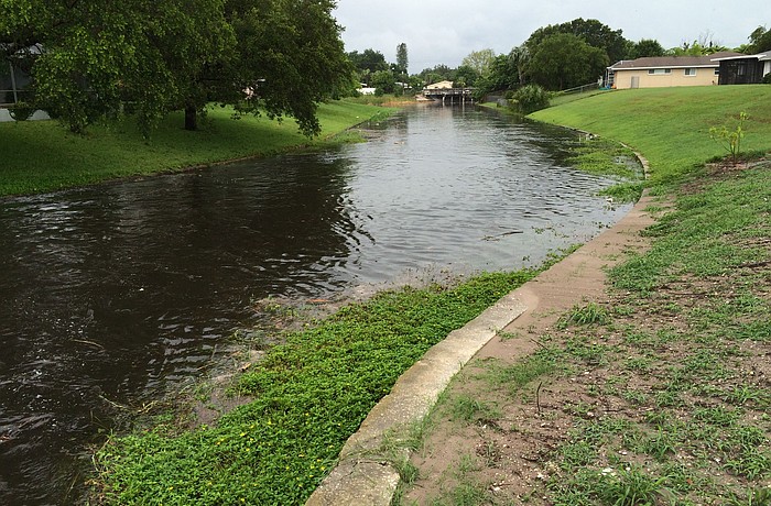 Phillippi Creek at Blossom Brook Canal