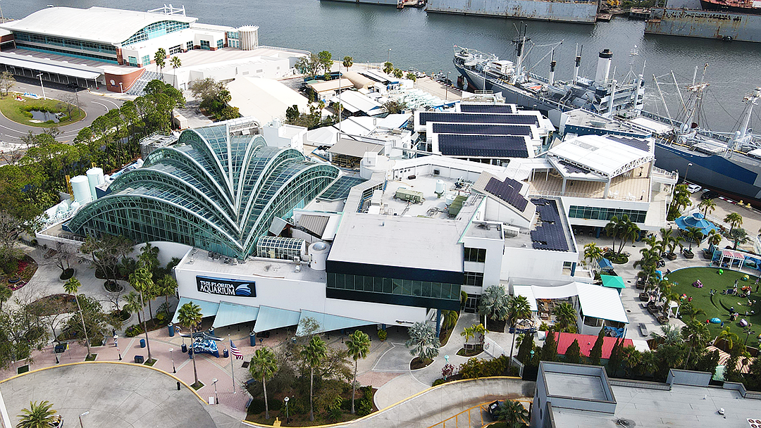 The aquarium has become an iconic part of the downtown Tampa landscape.