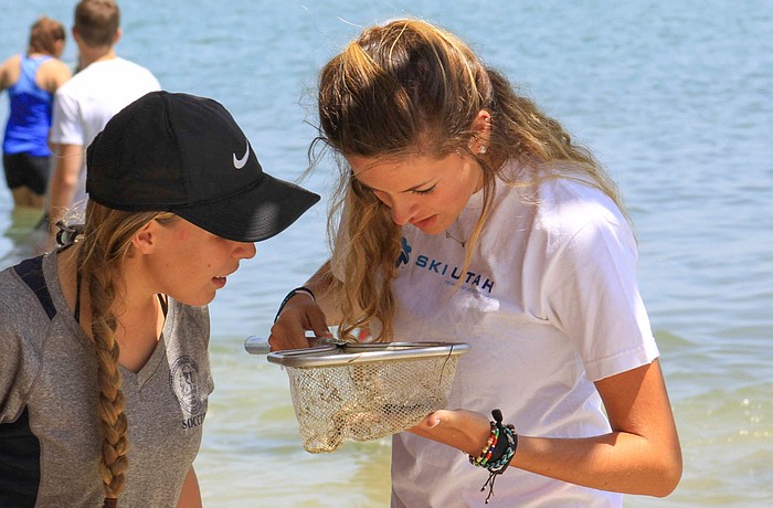 During field trips at Mote Marine Laboratory, students are given the opportunity to see sea creatures up close and explore whether or not a career in science is for them.