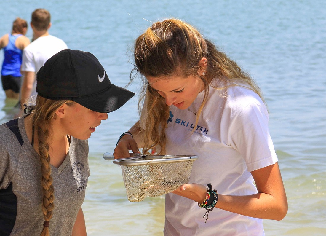 During field trips at Mote Marine Laboratory, students are given the opportunity to see sea creatures up close and explore whether or not a career in science is for them.