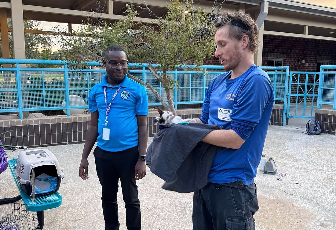 A two-hour mission to save a kitten stuck in a storm drain at Gotha Middle School was successful.