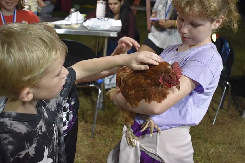 Matthew Servetz, 7, pets Gretel as his sister Jade Servetz, 11, holds her. Gretel belongs to Eryn Gwatney, 12.