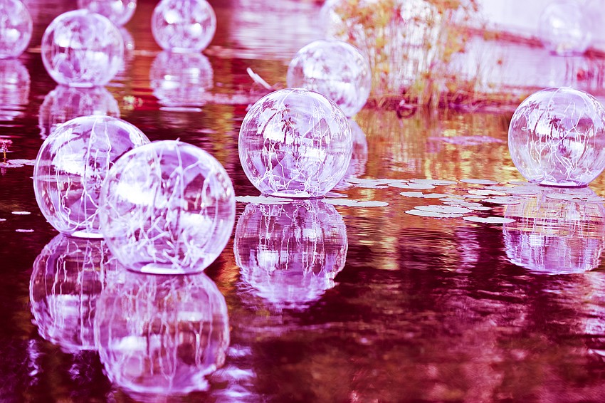 SPARCC's SPARCCle Sunset Soirée was held Nov. 7 at Marie Selby Botanical Gardens.