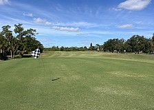 Hole 14 is one of two greens that was resodded last year. The rest of the course was sprigged to grow new grass.
