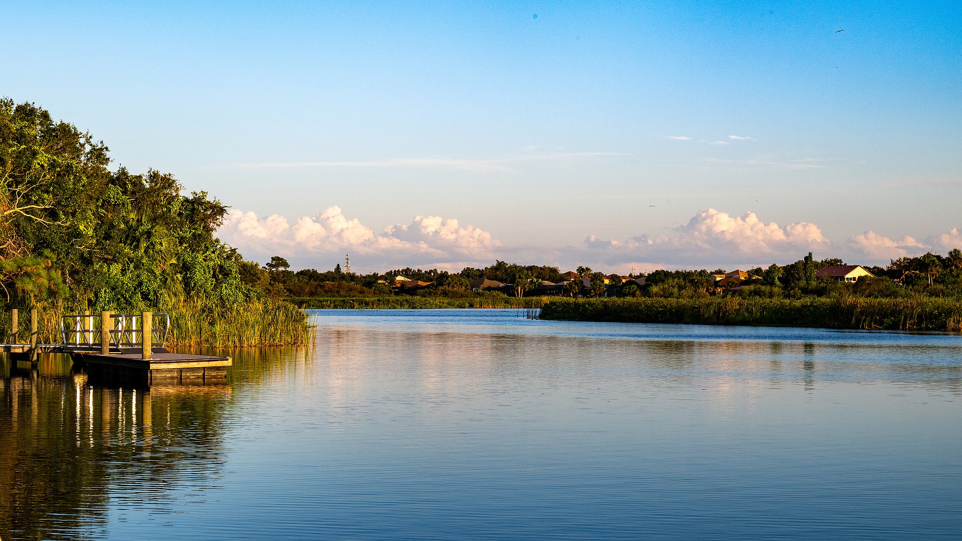 "Jiggs is a community asset in every sense," Manatee County Parks and Natural Resources Department Director Charlie Hunsicker says. "We’ve preserved a wonderful river and lake environment for 
this generation and the next."