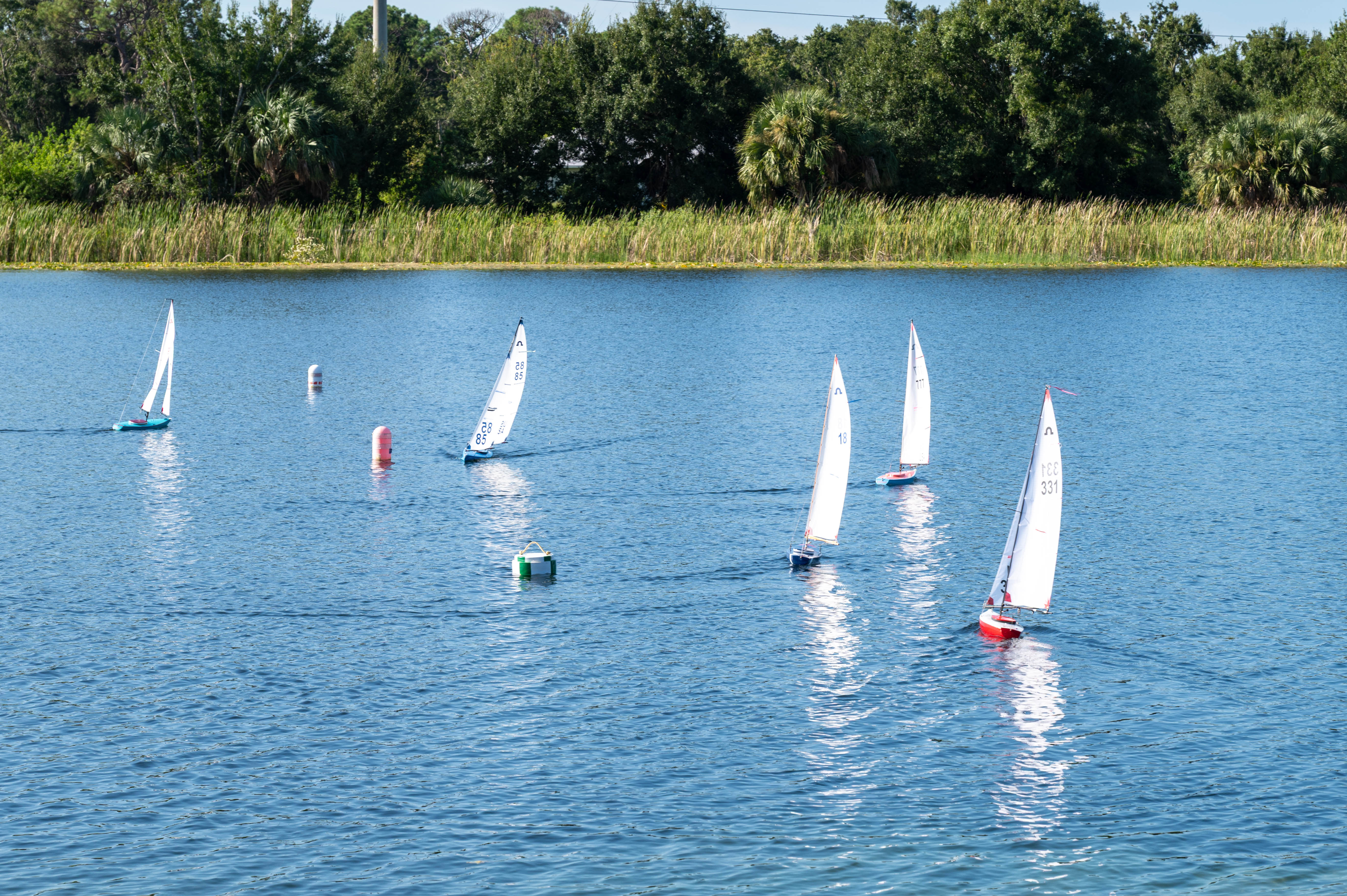 Sails catch the morning breeze on Green Parrot Lake as the Sarasota Model Yacht Club’s Soling 1-Meter fleet rounds the buoys during a Saturday race.
