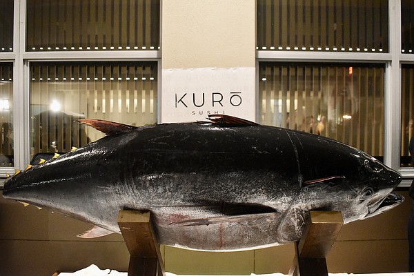 Instead of a ribbon, a 180-pound blue fin tuna will be cut to celebrate the grand opening of Kuro Sushi.