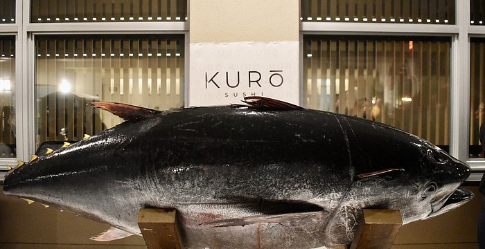 Instead of a ribbon, a 180-pound blue fin tuna will be cut to celebrate the grand opening of Kuro Sushi.
