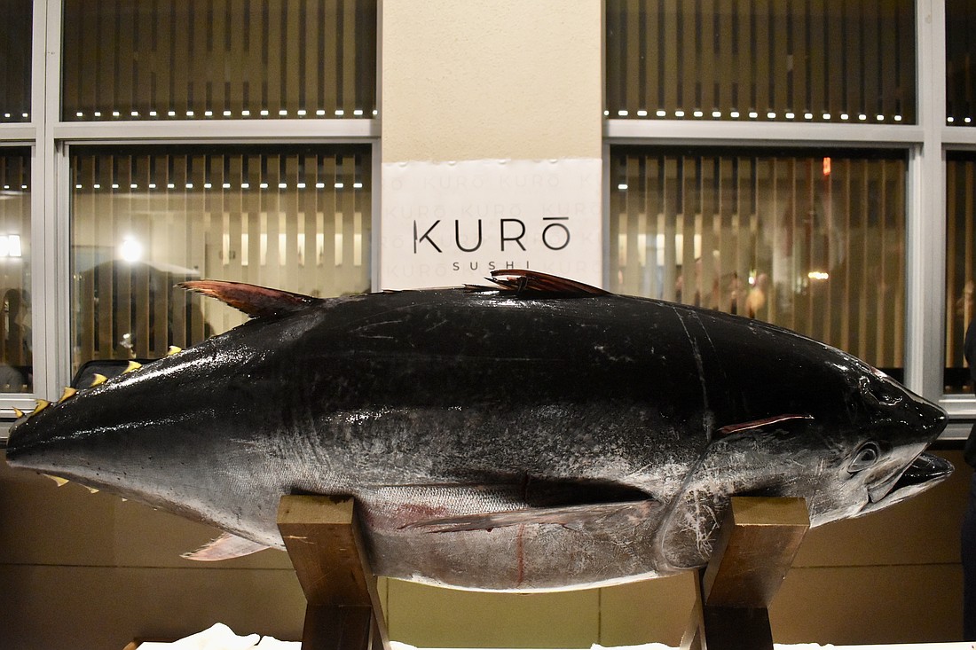 Instead of a ribbon, a 180-pound blue fin tuna will be cut to celebrate the grand opening of Kuro Sushi.