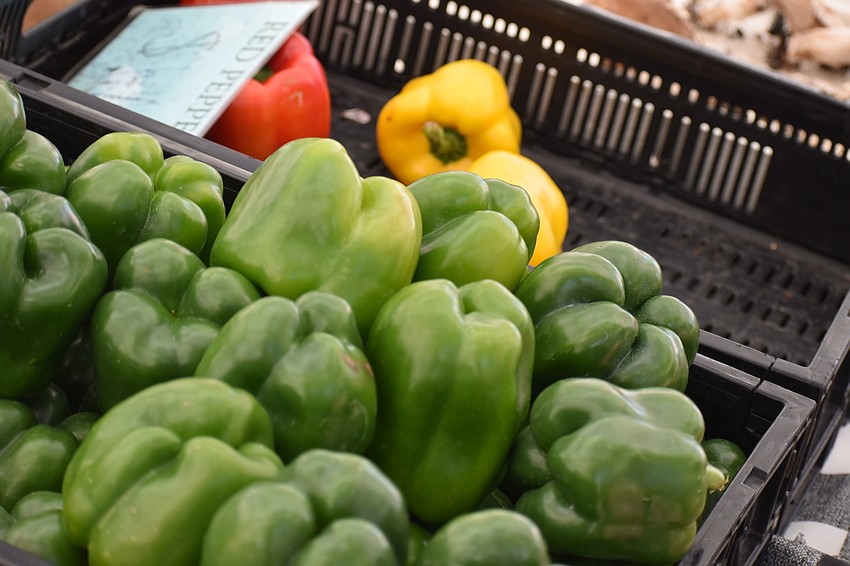 Visitors had the chance to buy fresh produce.