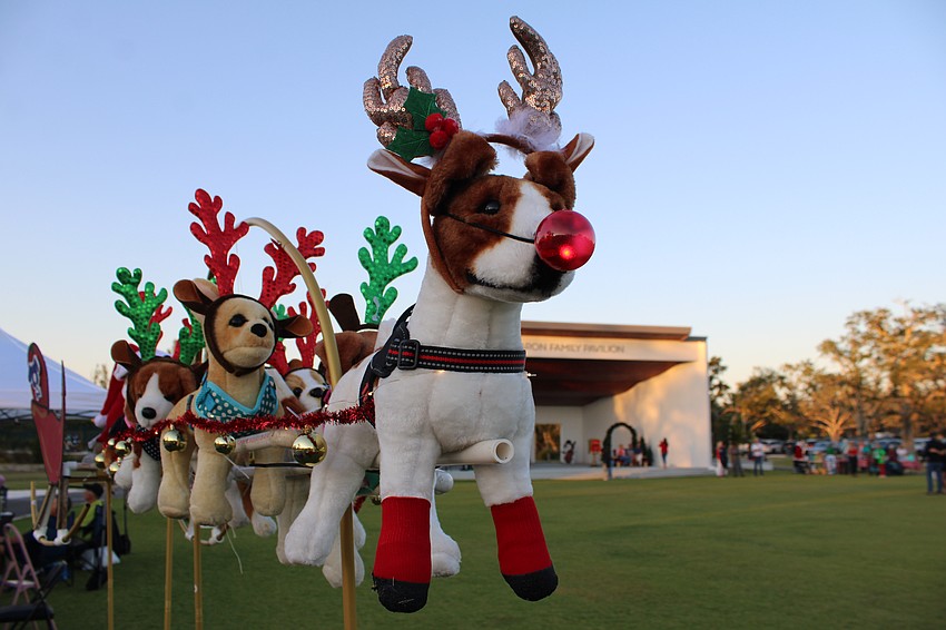A dog team subs in for the typical flying reindeer in Dog Perfect's Light Up Longboat display.
