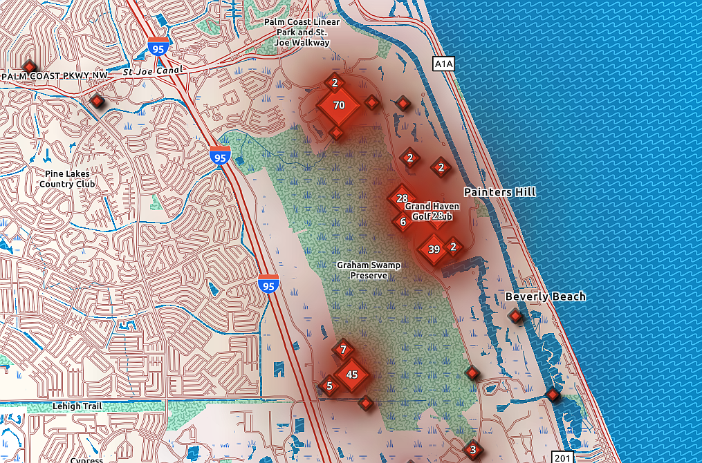 Many of the reported wild hog sightings are centered around Graham Swamp and Bulow Creek. Pictured is a screenshot of the reporting dashboard showing where hogs have been sighted. Screenshot of Flagler County feral hog reporting site