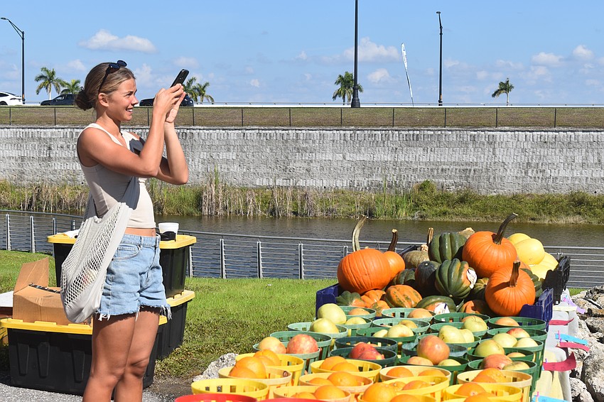 Norway's Annika Stokke is visiting her grandmother Barbara O'Brien and couldn't resist taking a photo of the colorful pumpkins at the Come Under the Yum Yum Tree booth.