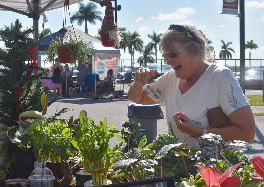 Ruskin's Pat Eddy takes a break from running her booth, Shorty's & Gifts, to check out the plants at the Julia's Natural Shop booth. Eddy purchased succulents and carnivorous plants.
