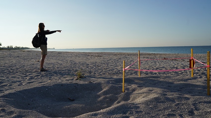 Cyndi Seamon points to the Gulf while standing next to the last sea turtle nest of the season Wednesday, Oct. 29, 2025.