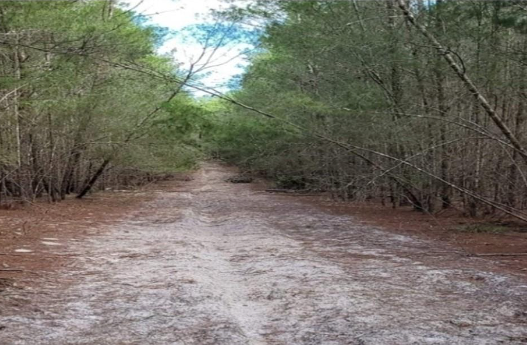 History of what's now Palm Coast stretches back to 18th century