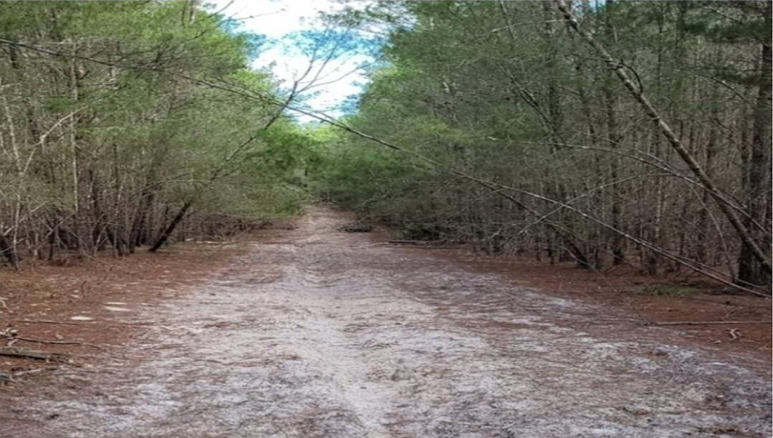 Old Kings Road originally connected St. Augustine to Colraine, Georgia, and then was extended through what is now Palm Coast south to the Smyrna Colony in 1768. Courtesy photo