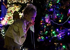 Piper Dawson checks out was she dubbed her favorite tree decorated by Lo' Key Island Grille at the opening evening of Christmas in the Garden on Nov. 30 at Longboat Island Chapel.