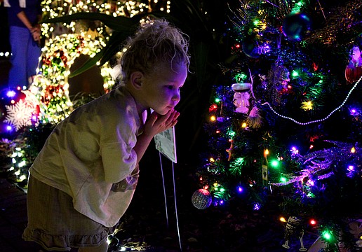 Piper Dawson checks out was she dubbed her favorite tree decorated by Lo' Key Island Grille at the opening evening of Christmas in the Garden on Nov. 30 at Longboat Island Chapel.
